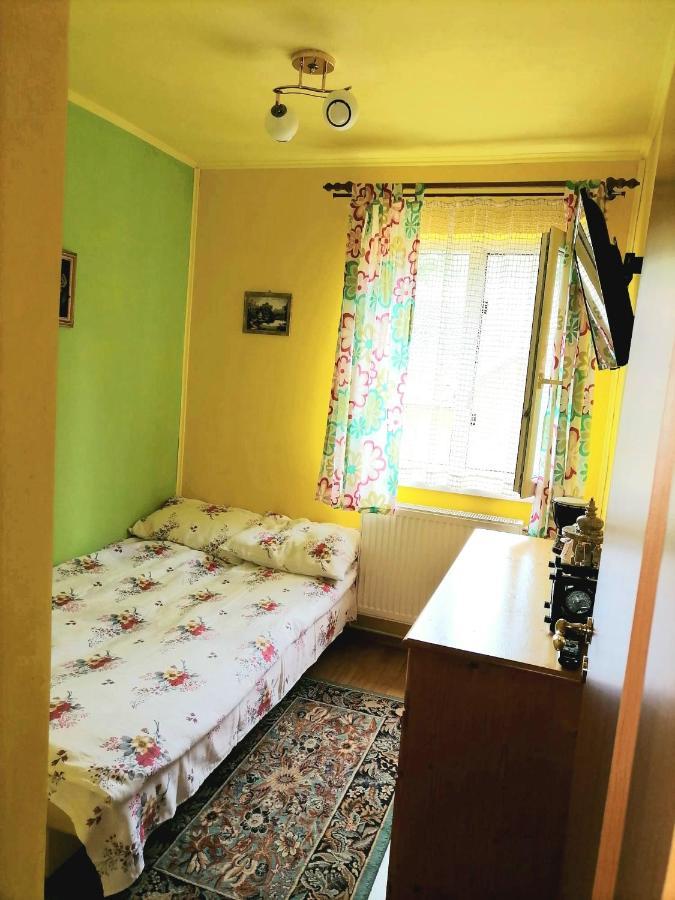 Apartament Iulia Geoagiu Băi 외부 사진